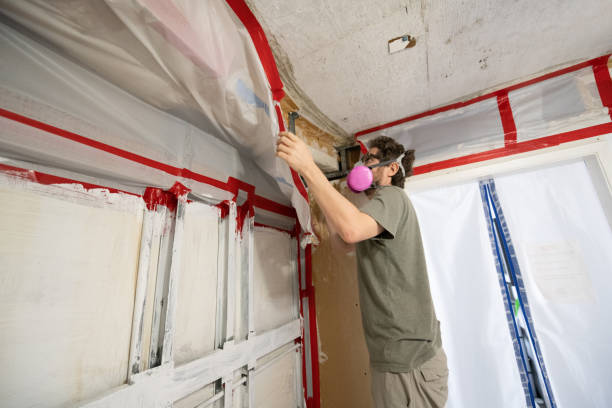 Best Commercial Mold Inspection  in Chelsea, AL
