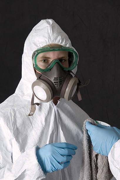 Best Mold Removal for HVAC Installations  in Chelsea, AL